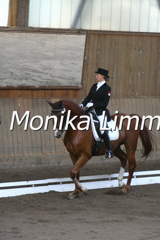 109L8511_Freggel_L Dressur.JPG